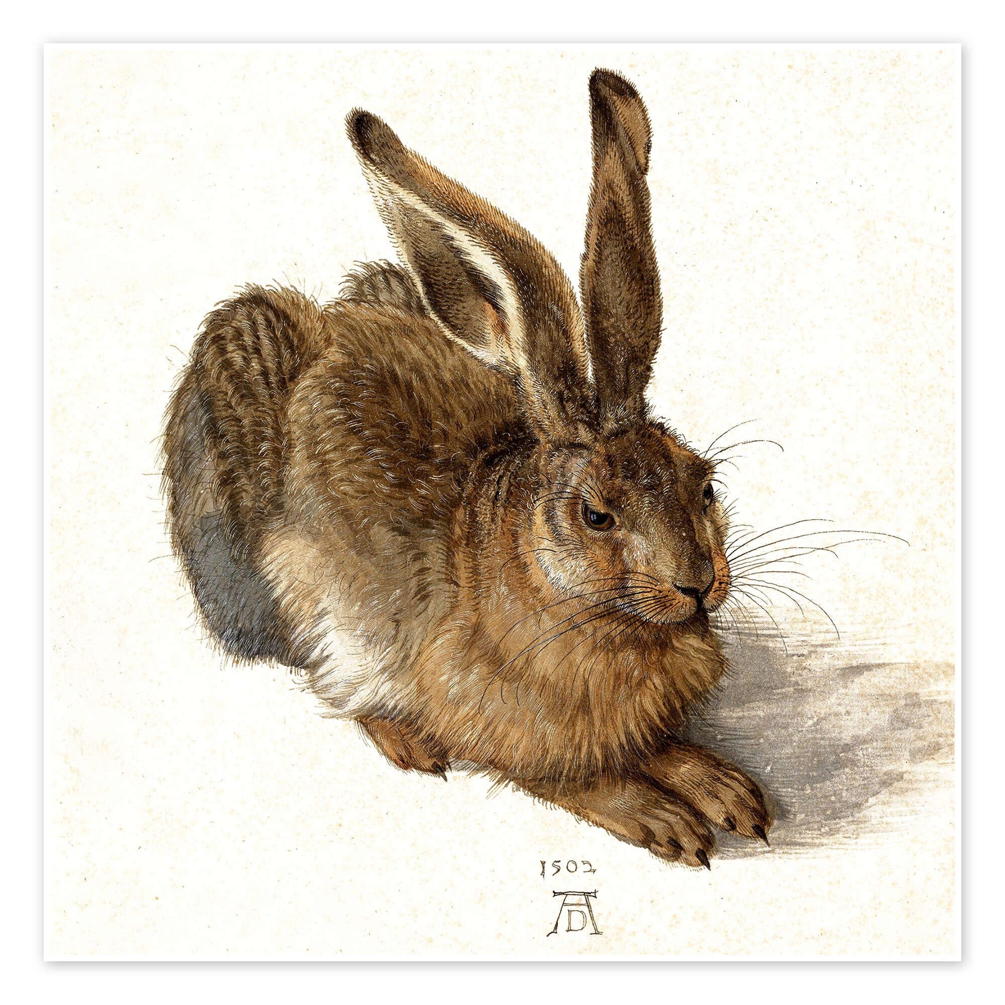 Posterlounge Wandbild Hase Albrecht Dürer Kunstdruck Poster - Bild 2