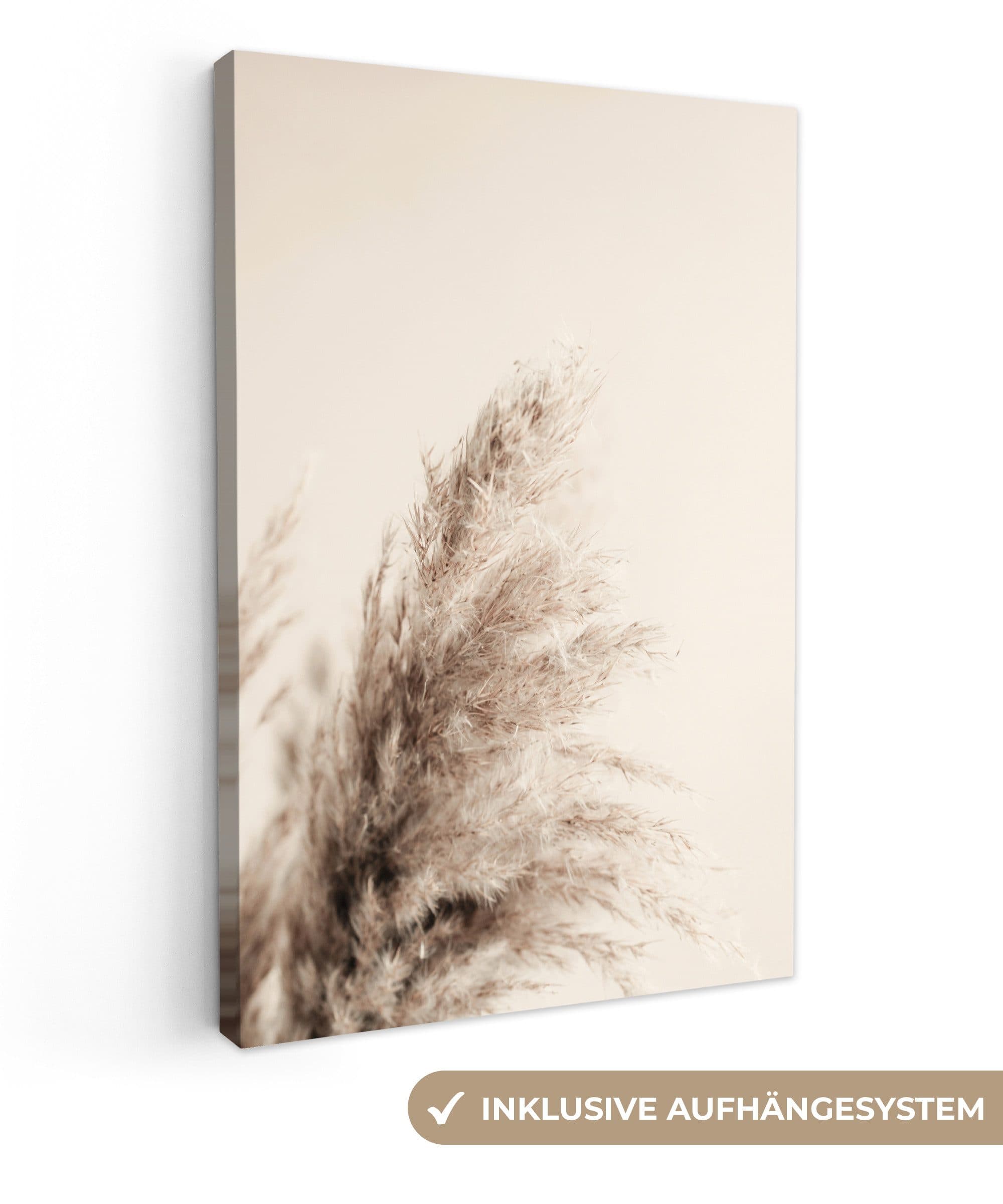 OneMillionCanvasses® Leinwandbild Pampaswedel Beige Natur - Bild 2