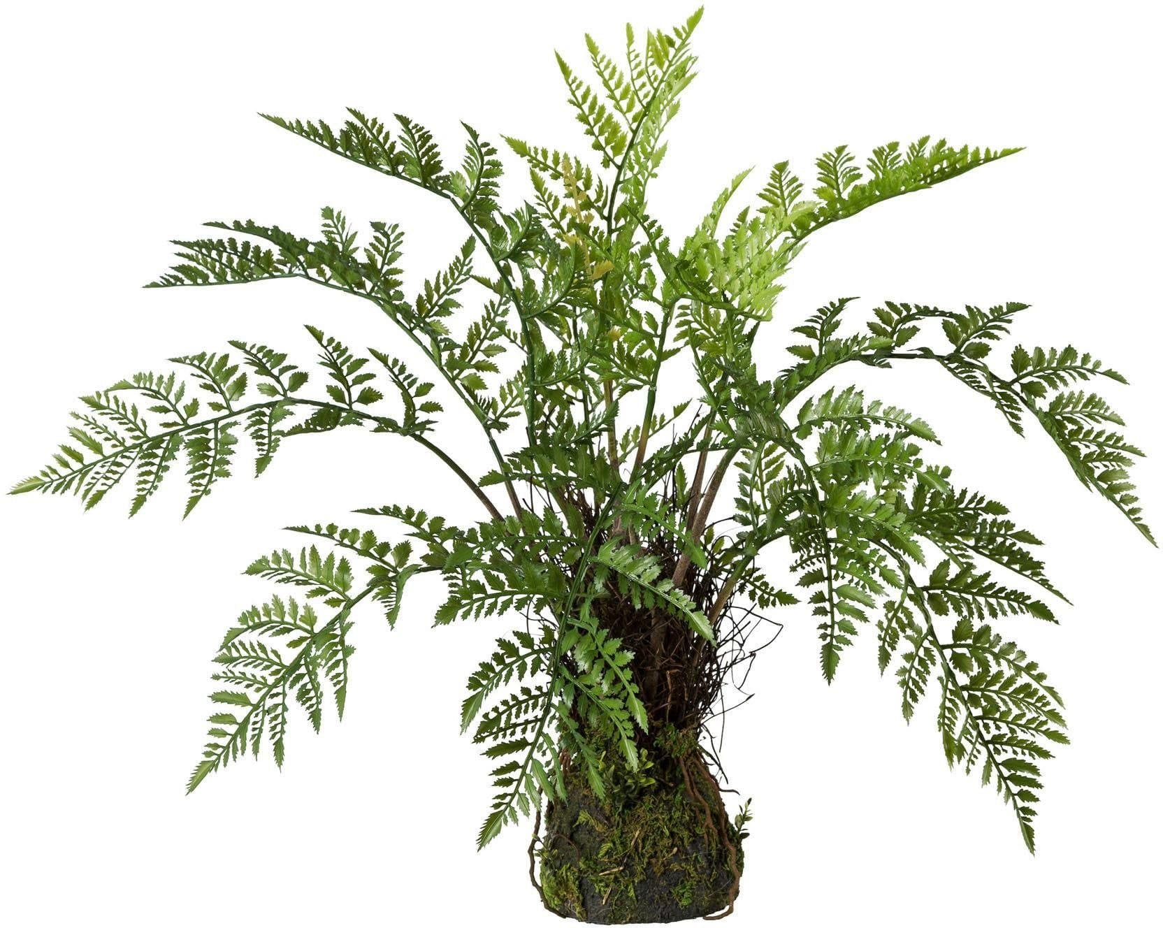 Creativ Green Kunstpflanze Farn Grün 50 cm - Bild 2