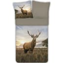 ESPiCO Bettwäsche Hirsch Trendy Bedding Renforcé 2-teilig Bunt Bild 2