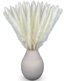Trockenblumen Pampasgras Weiß 50 cm 15 Stück Boho Deko Bild 2