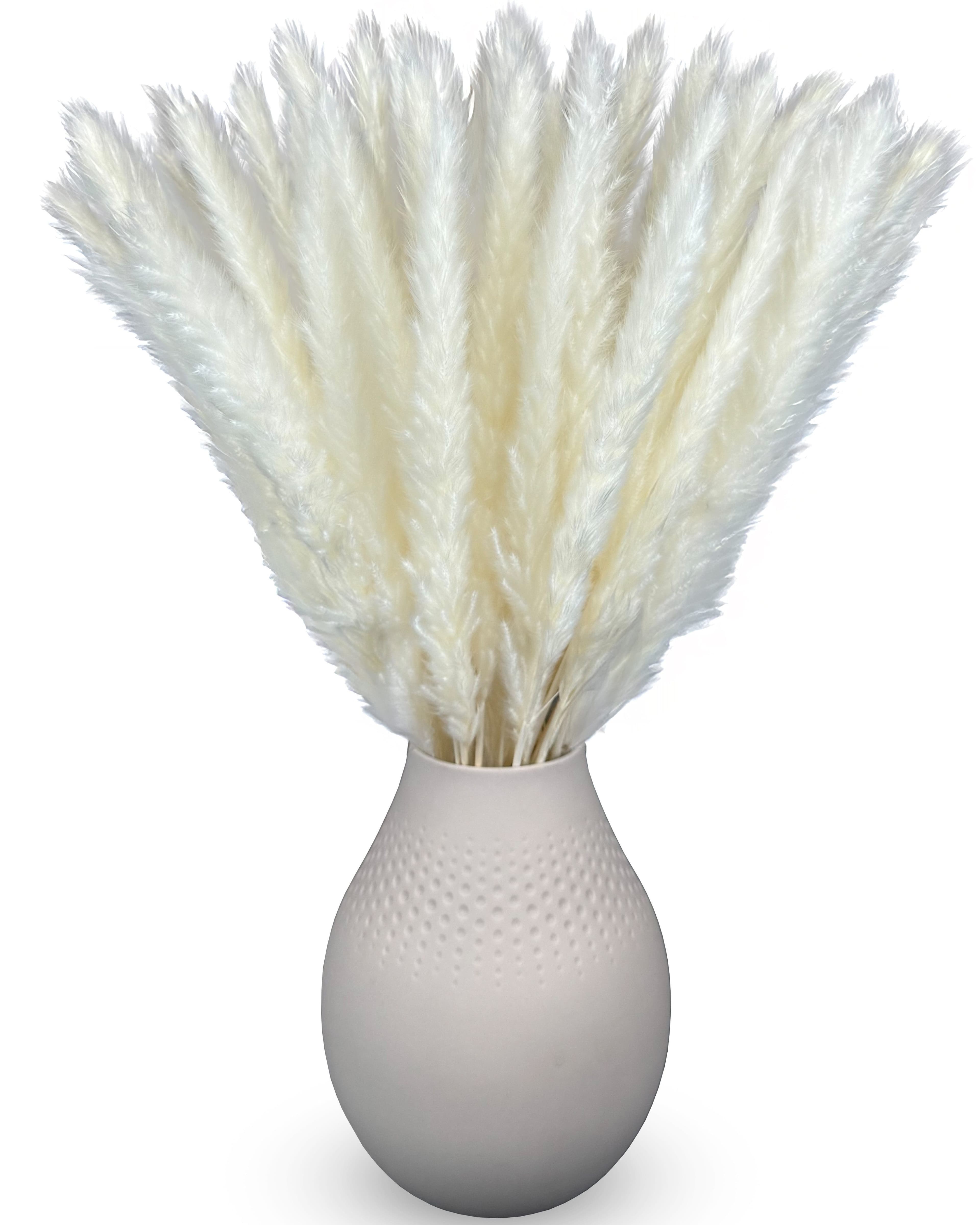 Trockenblumen Pampasgras Weiß 50 cm 15 Stück Boho Deko - Bild 2