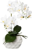 Kunstorchidee Deko-Orchidee Phalaenopsis im Keramiktopf Creativ green Bild 2