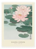 Posterlounge Wandbild Seerose 1926 Ohara Koson Poster Grün/Weiß Bild 2
