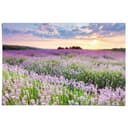 Reinders! Poster Lavendelfeld 91,5x61 cm Blumen und Pflanzen Bild 2