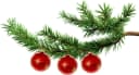 Krebs Glas Lauscha Weihnachtsbaumkugel Xmas Night Komet 8 cm 3er Set Bild 4