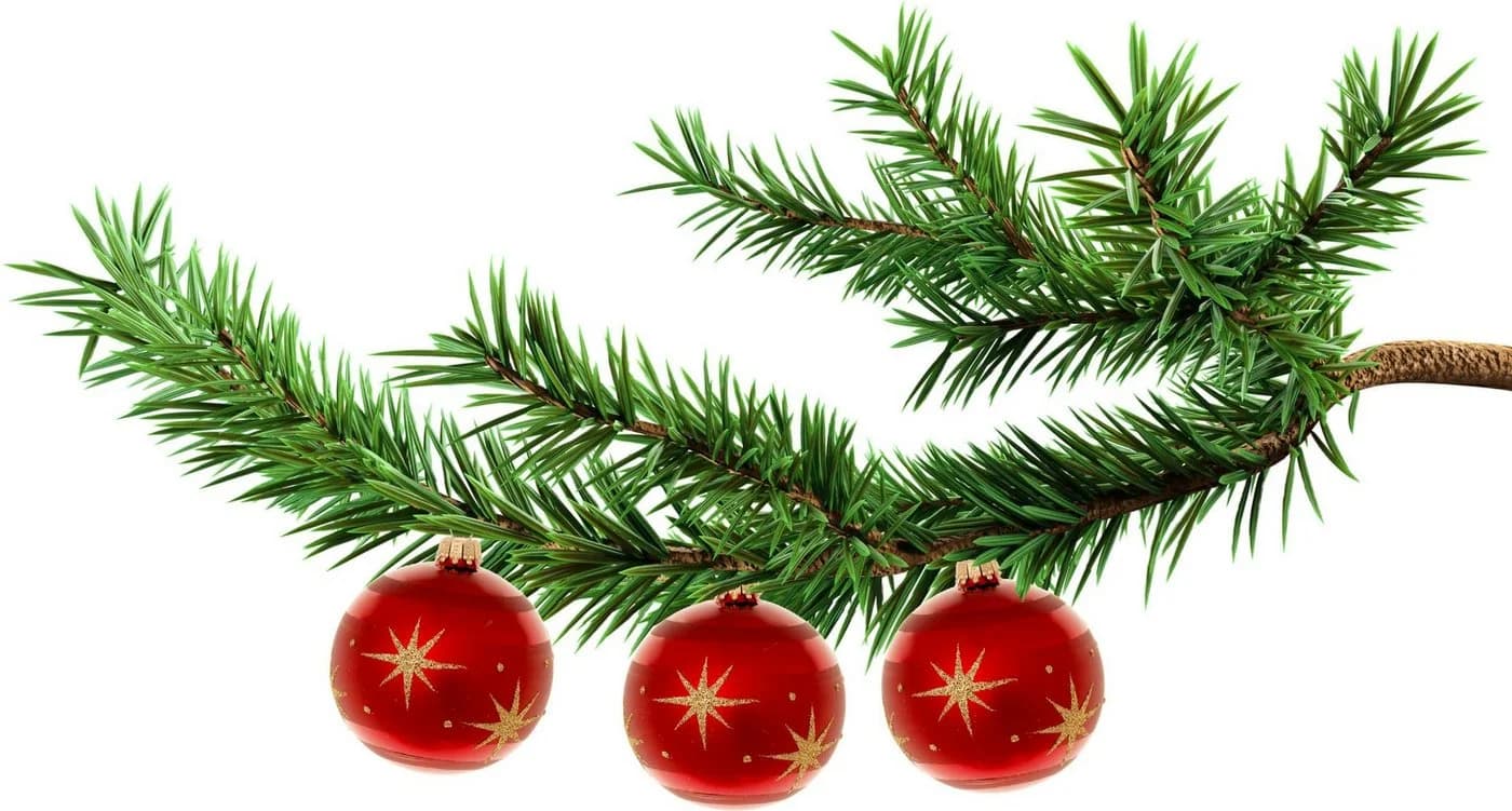 Krebs Glas Lauscha Weihnachtsbaumkugel Xmas Night Komet 8 cm 3er Set - Bild 4
