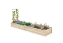 COSTWAY Hochbeet mit Rankgitter, Blumenkasten aus Tannenholz Bild 2