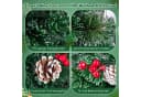 COSTWAY Künstlicher Weihnachtsbaum 150cm Grün 170 Spitzen 49 LEDs Bild 5