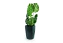 Rolipo Blumentopf Keramik frostsicher moosgrün mit Ablaufloch Bild 5