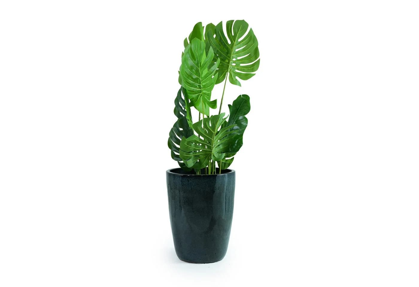 Rolipo Blumentopf Keramik frostsicher moosgrün mit Ablaufloch - Bild 5