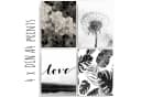 homestyle-accessoires Poster 10er-Set LOVE DANDELION Pusteblumen Bild 3