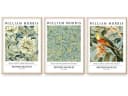 homestyle-accessoires William Morris 3er Set Kunstdrucke Wandbilder Ohne Rahmen Bild 2