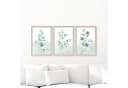 homestyle-accessoires Poster Bilder Set EUCALYPTUS TRIO AQUARELLE 3er Bild 1
