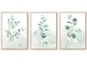 homestyle-accessoires Poster Bilder Set EUCALYPTUS TRIO AQUARELLE 3er Bild 2