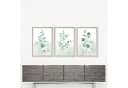 homestyle-accessoires Poster Bilder Set EUCALYPTUS TRIO AQUARELLE 3er Bild 3