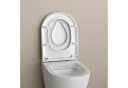 WC-Sitz in D-Form mit Soft-Close und abnehmbarem Kinder-Sitz Bild 4