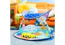 Bright Starts Spielbogen Finding Nemo Mr. Ray Ocean Lights & Music Gym Bild 5