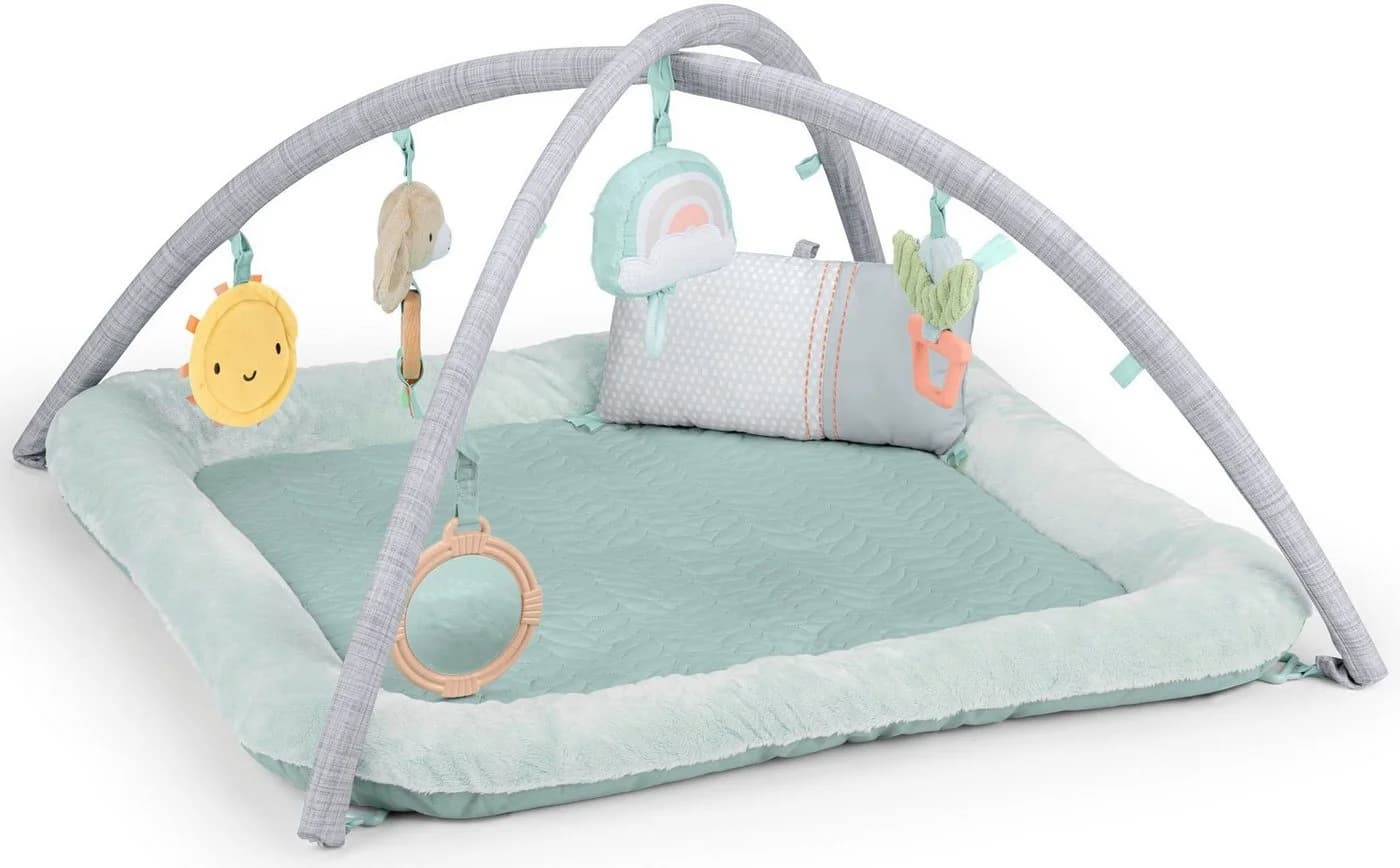 Ingenuity Spielbogen Spieldecke Calm Springs™ Plush