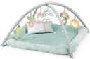 Ingenuity Spielbogen Spieldecke Calm Springs™ Plush Bild 2