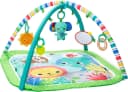 Bright Starts Baby Gym Wild Wiggles™ FoldAway Activity Gym™ Bunt Bild 2