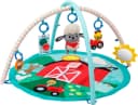 Baby Einstein Spielbogen Happy Harvest Touch & Feel Activity Gym Bild 2