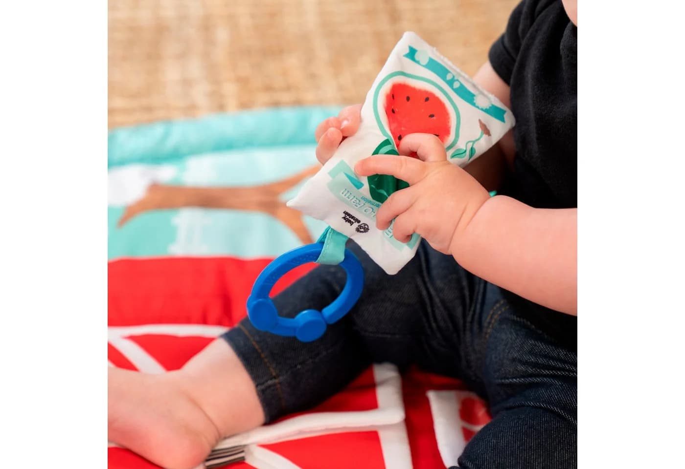 Baby Einstein Spielbogen Happy Harvest Touch & Feel Activity Gym - Bild 5