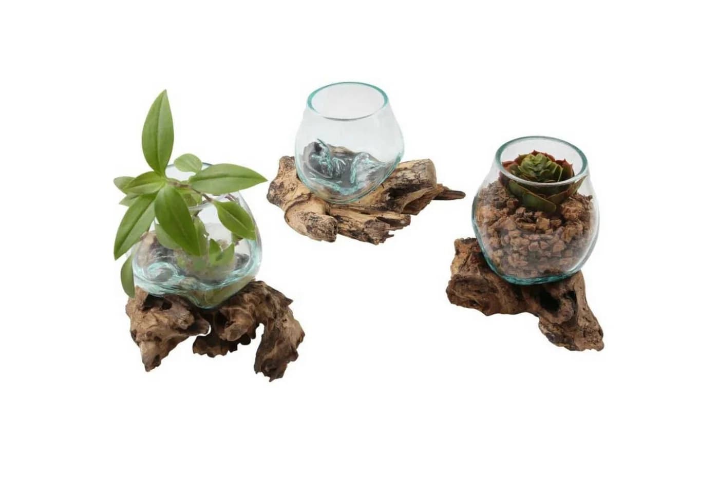 Casa Moro Glasvase auf Wurzelholz Ø 12cm aus Recycling Glas & Wurzelholz - Bild 5