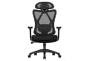 SONGMICS Bürostuhl Ergonomisch Verstellbare Lendenstütze und Kopfstütze Schwarz Bild 2