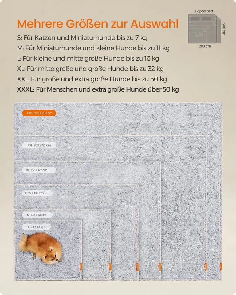 none - Bild 3
