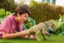 Mattel® Actionfigur Jurassic World - Feature D-Rex, mit Beiß-Angriff und Brüllgeräusch Bild 1