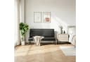 OUNUO Sofa 2 Sitzer Schwarz Metallrahmen Bild 5