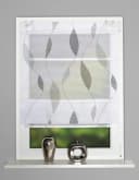 Clever-Kauf-24 Magnetrollo Paolo Polyester Halbtransparent Bild 1