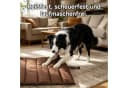 OSTWOLKE Wasserdichte Faltbare Hundematte Braun 110x68 cm Bild 4