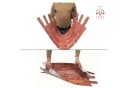 IKHEMalarka 3D Wandpaneel PVC Steinoptik 48x90 cm Bild 5