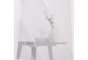 Joyswahl Scheibengardine 2er Set Transparent Voile mit Quaste Bild 3