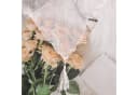 Joyswahl Scheibengardine 2er Set Transparent Voile mit Quaste Bild 4