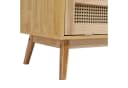 Thanaddo 2-türiger Kleiderschrank mit Rattan-Tür und Aufhängesystem Bild 3