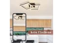 Nettlife LED Deckenleuchte Schwarz Modern 3000K 24W Geometrisch Bild 1