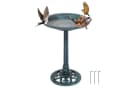 COSTWAY Vogeltränke Grün Klassisches Design Bild 2