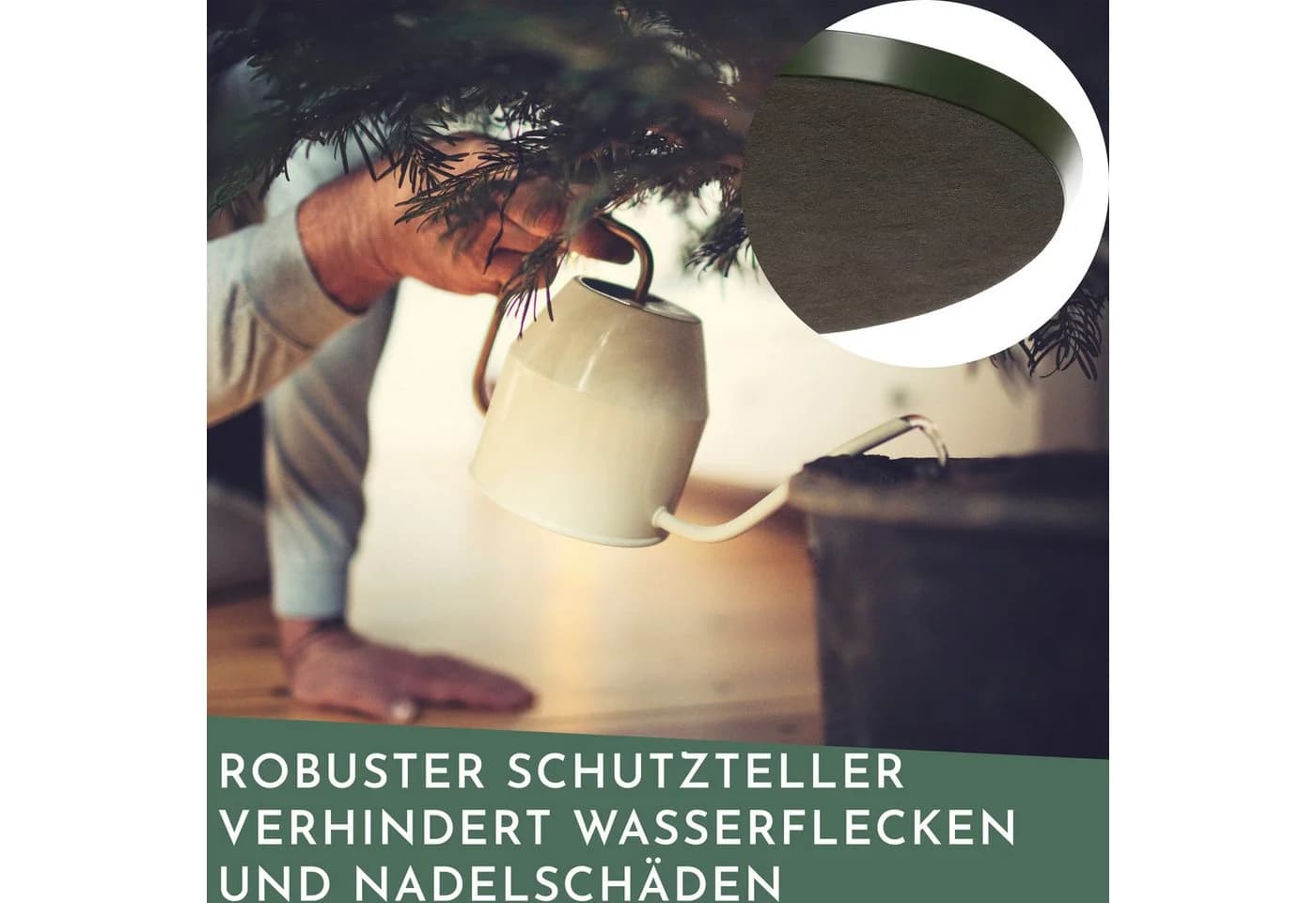 none - Bild 4