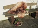 Felltrade Fellteppich Natur Schaffell geflammt Bild 1