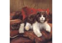 Folkmanis Handpuppe wuschelige Katze 2558 Bild 1