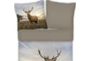 ESPiCO Bettwäsche Hirsch Trendy Bedding Renforcé 2-teilig Bunt Bild 1