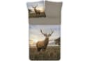 ESPiCO Bettwäsche Hirsch Trendy Bedding Renforcé 2-teilig Bunt Bild 2
