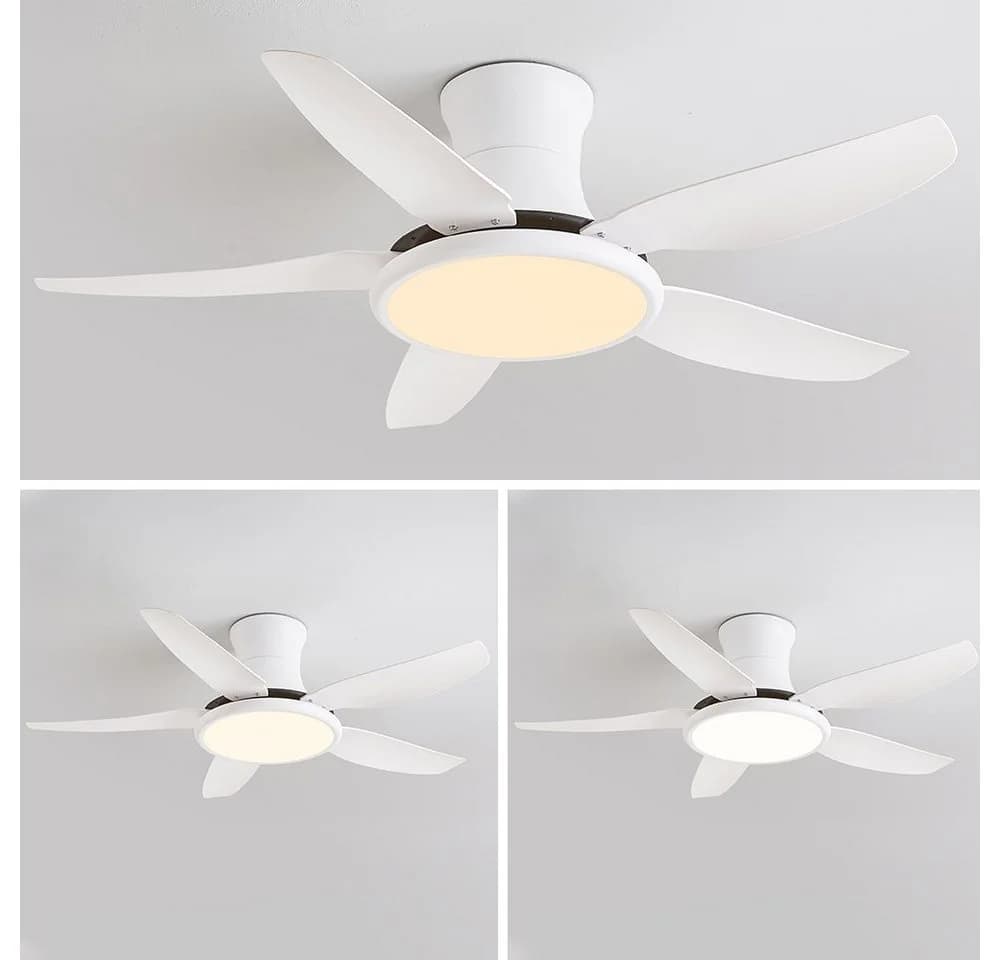 Euroton Deckenventilator mit LED-Beleuchtung & Fernbedienung - Bild 5
