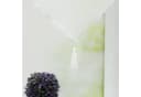 Delien Scheibengardine Uni 2 St. Stangendurchzug Voile mit Quaste Bild 4