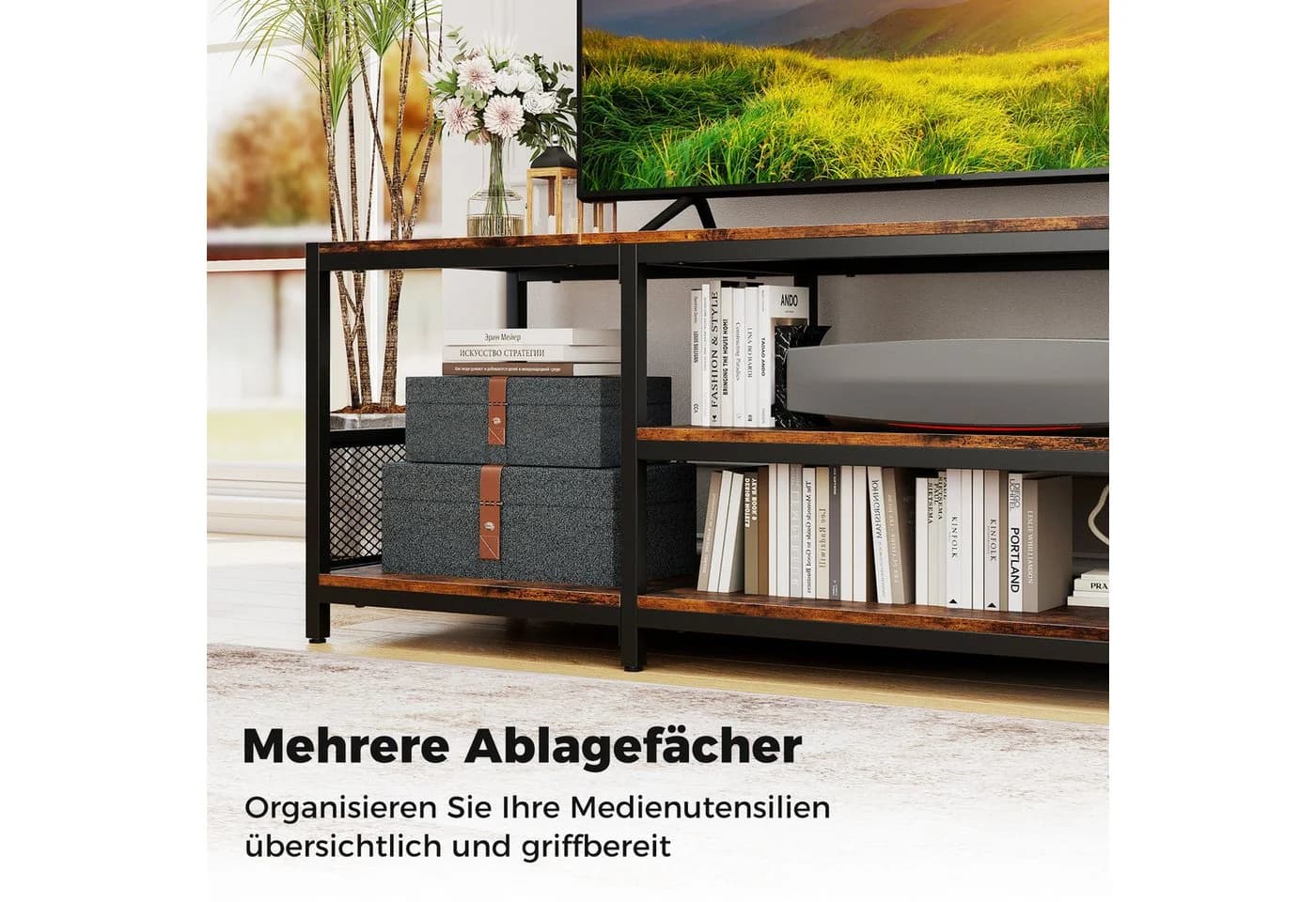 none - Bild 4