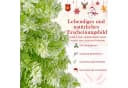 COSTWAY Künstlicher Weihnachtsbaum 150cm biegbare Spitze mit Schnee, 80 LEDs Bild 4