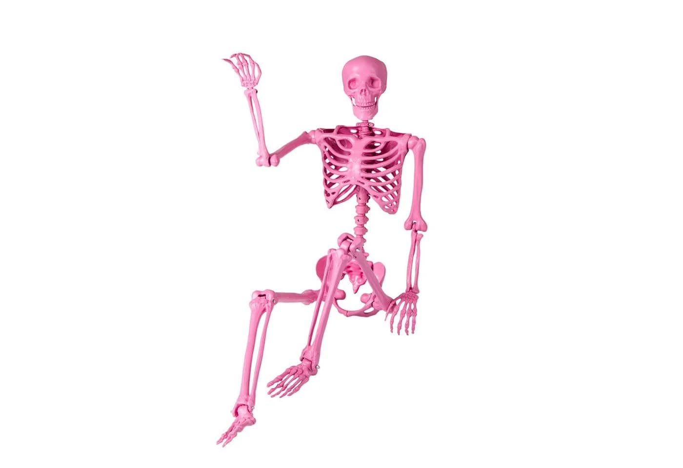 KOMFOTTEU Halloween-Skelett Dekoobjekt Rosa 160 cm mit beweglichen Gelenken - Bild 2